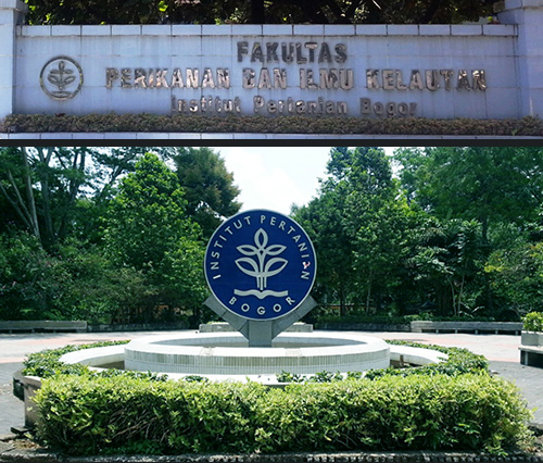 bogor